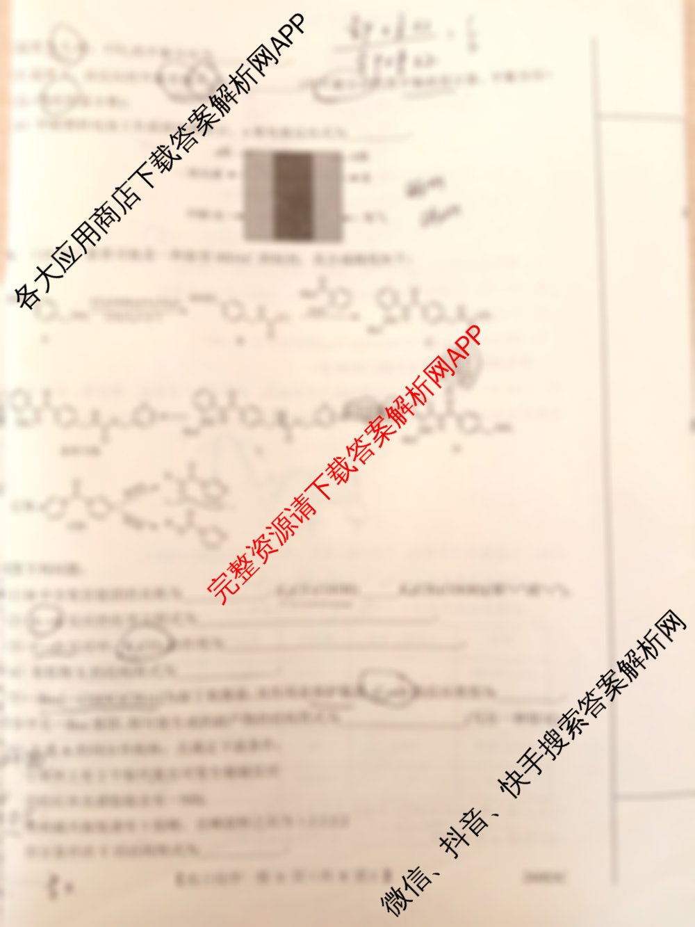 山西省2025年8月高三年级阶段性测试(8.21)(26003C)试卷及答案汇总（含生物 历史 数学等9份）化学试题