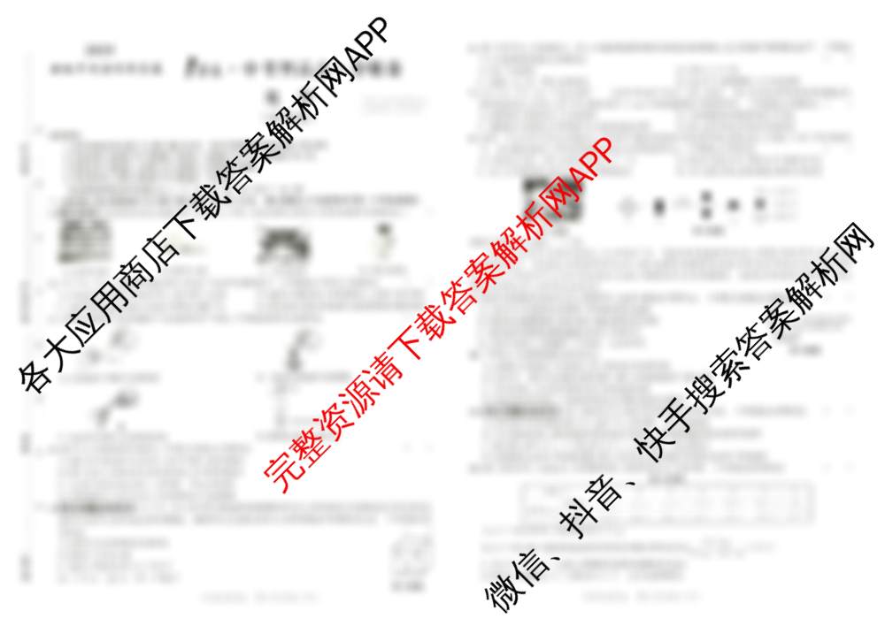 2025安徽中考原创仿真卷 1号卷中考智高点夺魁卷(试题卷)试卷及答案汇总（含化学 道德与法治 物理等7份）化学试题