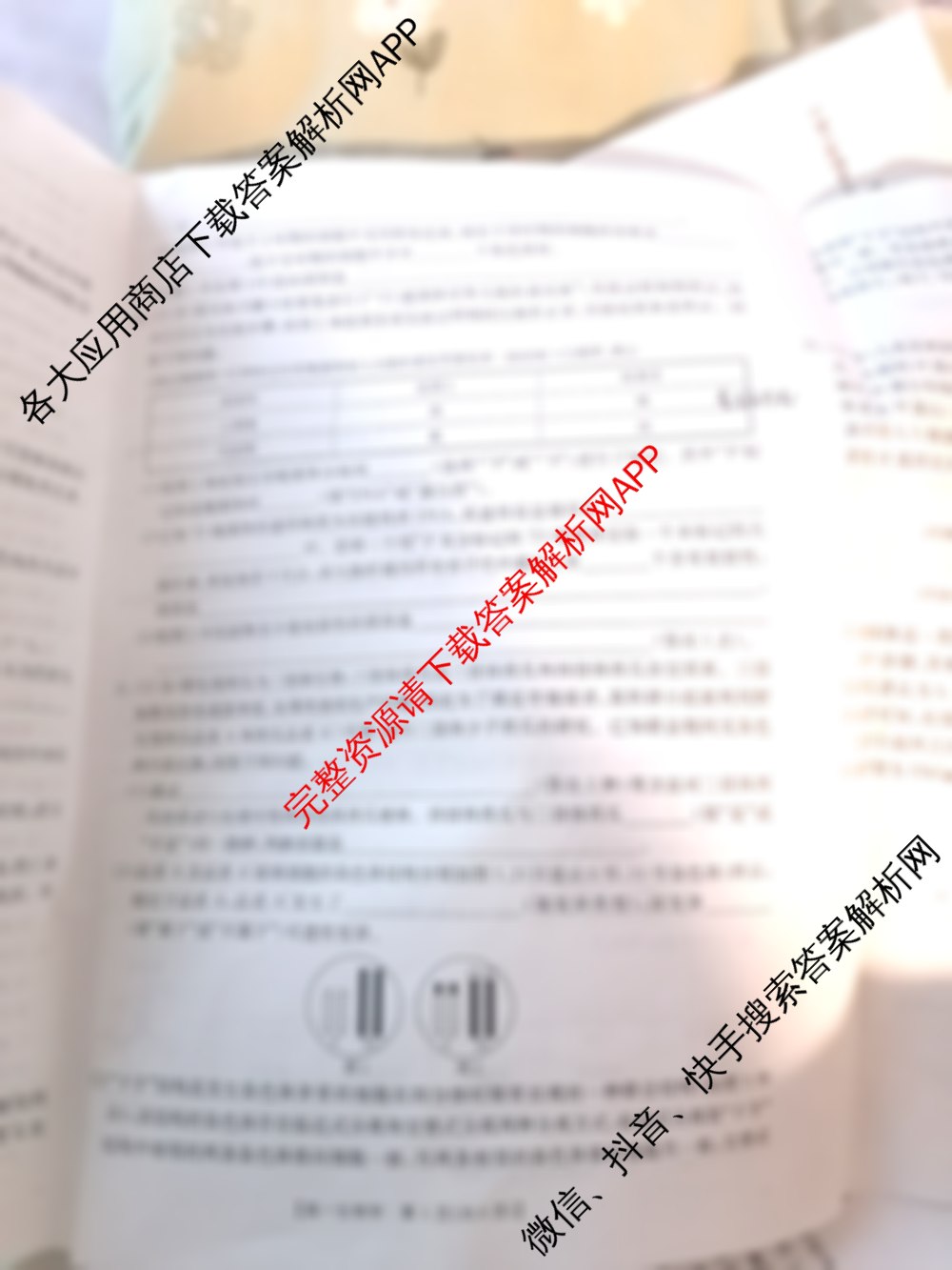 陕西2024-2025高一期末教学质量检测(6.26不是监测)试卷及答案汇总(已更新物理 语文 历史等9份)生物试题