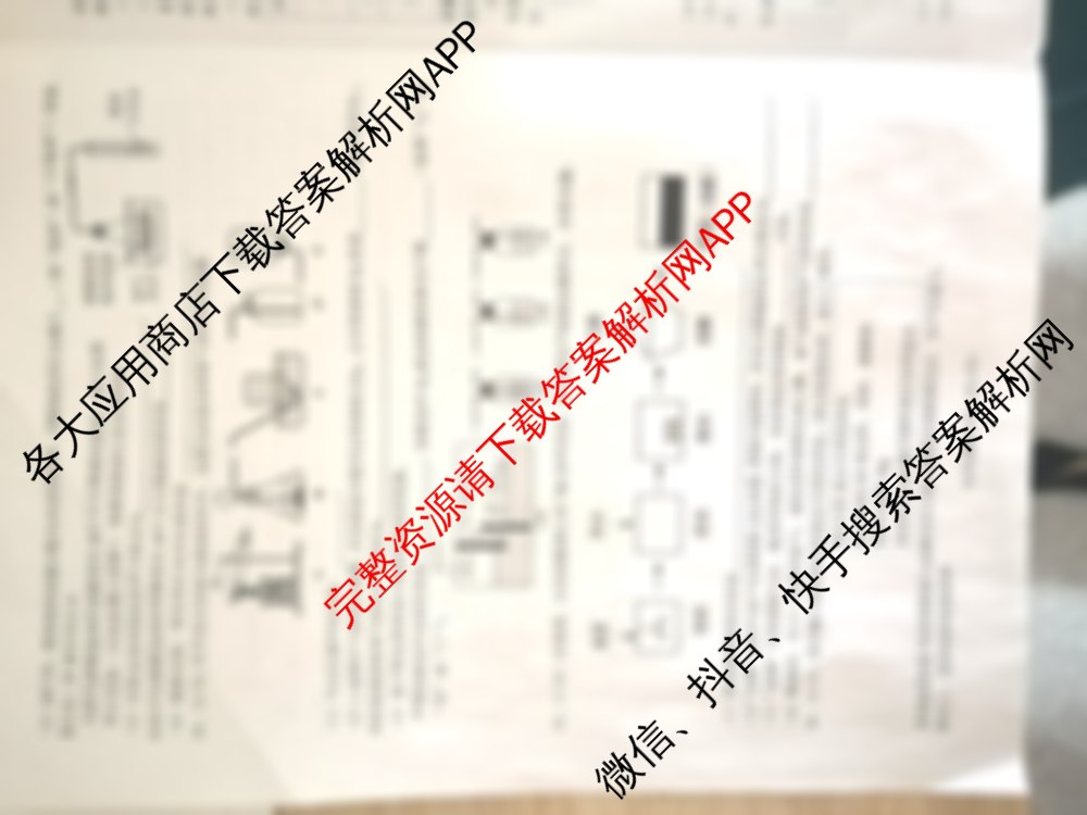 安徽省庐江县2025届九年级教学质量第二次抽测试卷及答案汇总（含历史、物理、英语等）化学试题