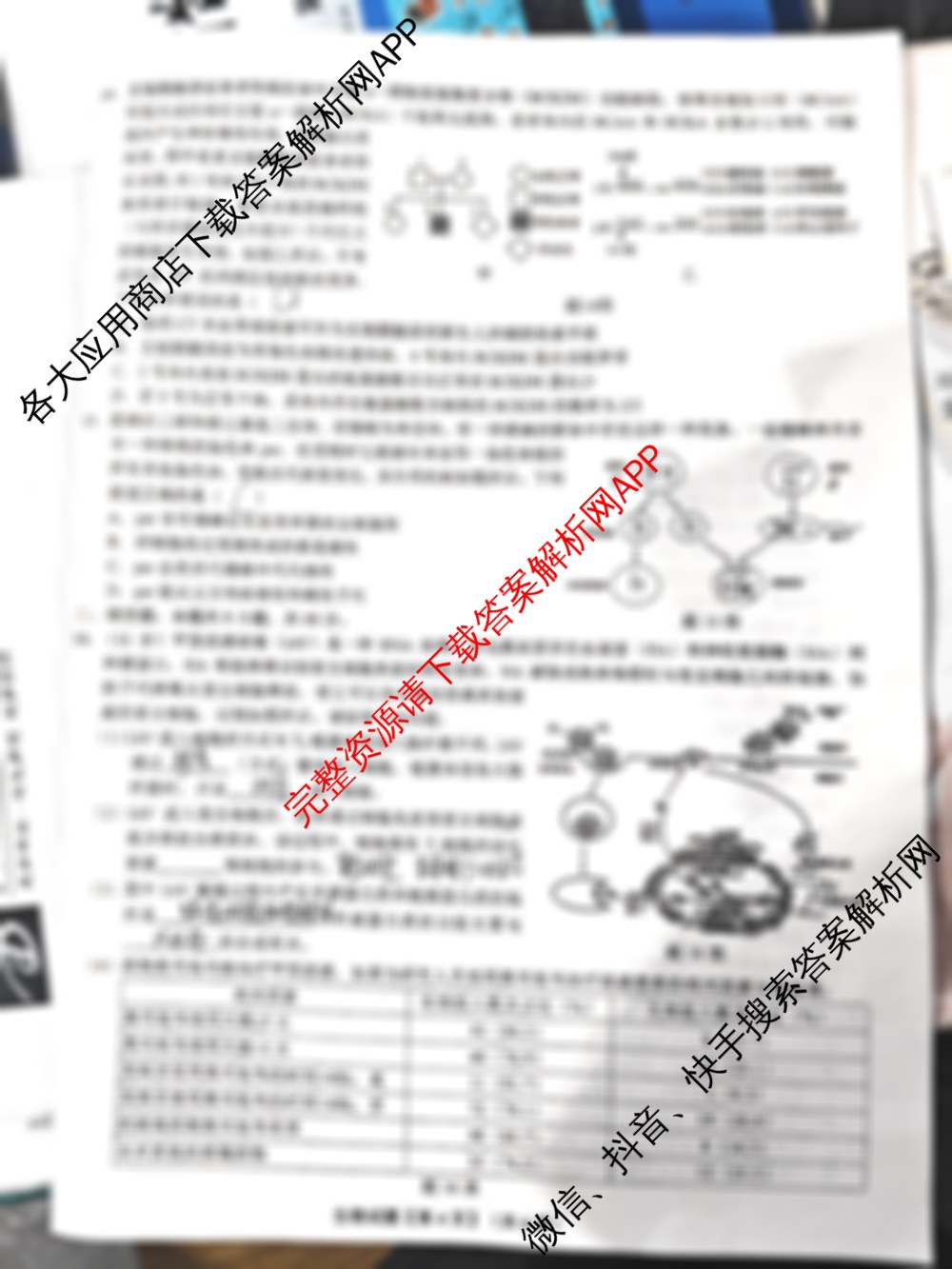 新高考金卷重庆市2025届一诊模拟卷(一)试卷及答案汇总（含数学、地理、语文等）生物试题