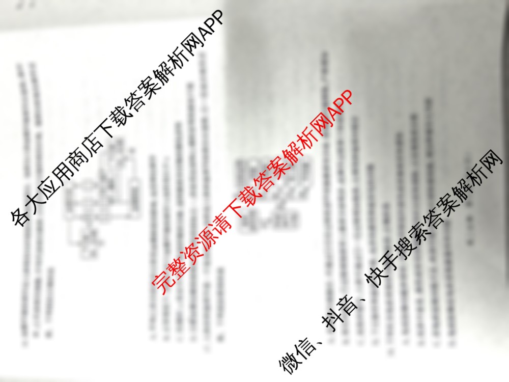 河北省2024级高二年级大数据应用调研阶段性联合测评(II)试卷及答案汇总(含生物 地理(A卷) 物理(A卷)等)生物试题 河北省2024级高二年级大数据应用调研阶段性联合测评(II)试卷及答案汇总(含生物 地理(A卷) 物理(A卷)等)生物试题
