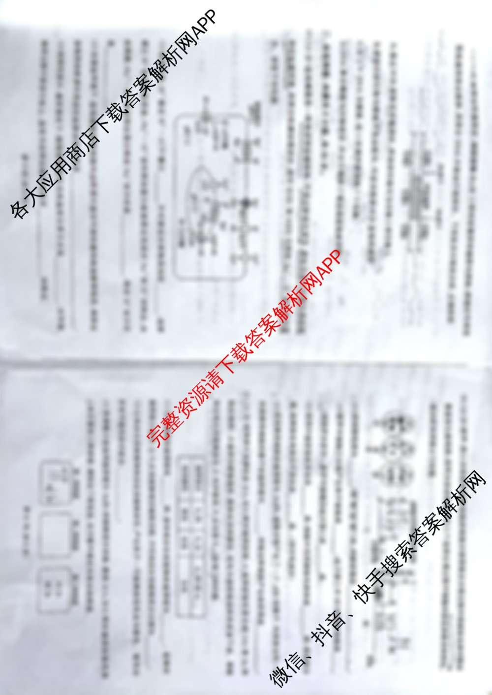 百师联盟2026届高三年级12月阶段检测(12.5)(已更新历史、地理、物理等10份)生物试题