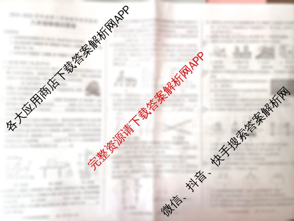 安徽省滁州市2024-2025学年度第二学期教学质量监测八年级试题卷各科答案及试卷(已更新历史 数学 物理等8份)物理试题