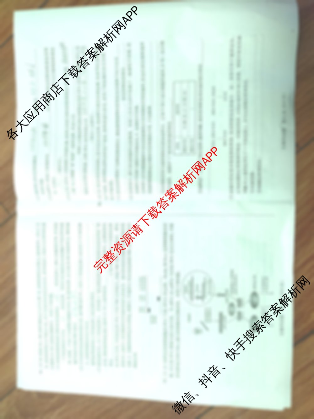 天一大联考安徽2026届高三期中联考(11月): 含生物(芜湖专版) 物理(合肥专版) 数学(合肥专版)试卷解析生物试题