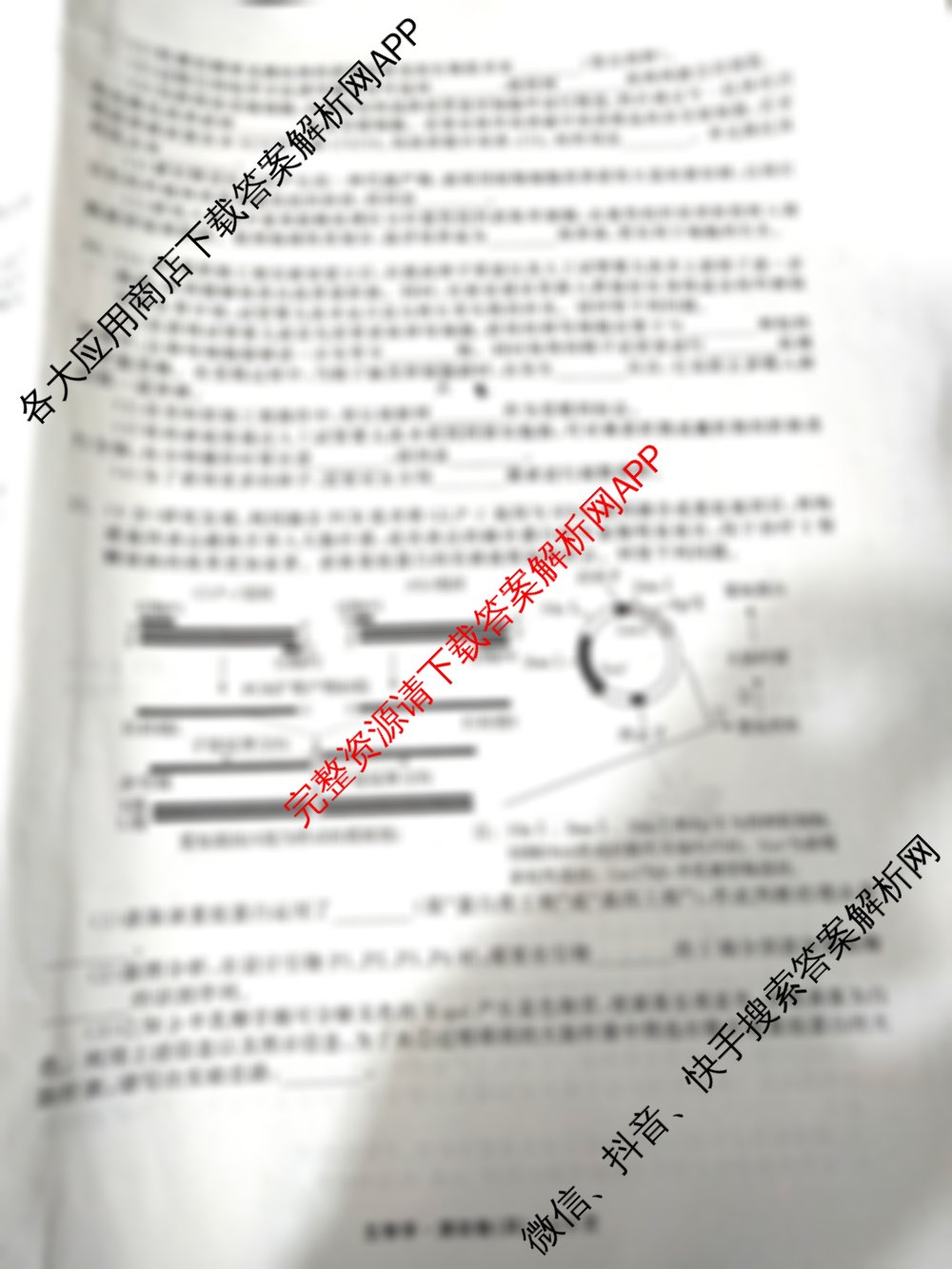 衡中同卷2025-2026学年度高三复滚动卷(四)4试卷及答案汇总（含政治、生物、英语(B)等）生物试题
