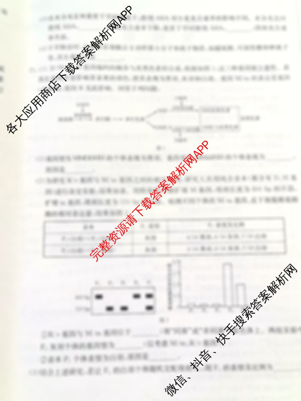 陕西省2026届高三年级考试(10.30)试卷及答案汇总: 含政治、英语、物理试卷解析生物试题