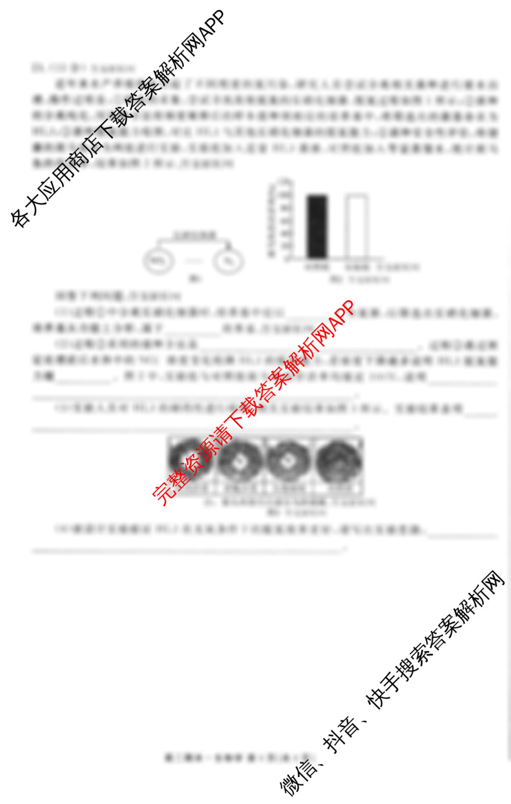衡水金卷先享题月考卷2025-2026学年度上学期高二年级期末考试（含语文(B版)、物理、数学(人教版)等）生物试题