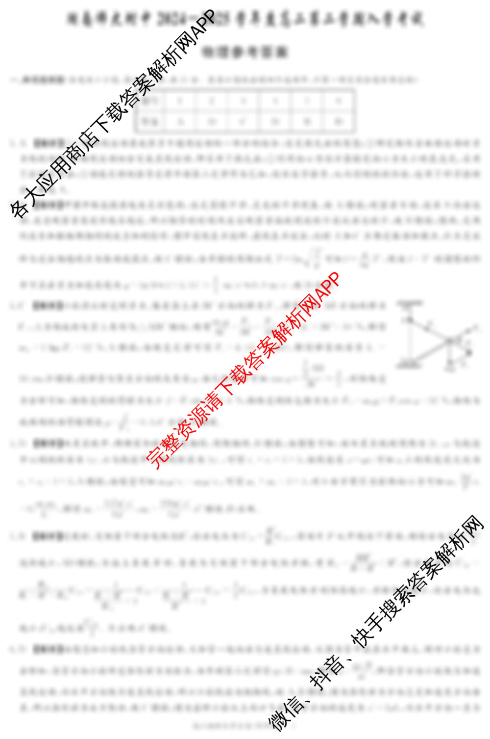 湖南师大附中2024-2025学年度高二第二学期入学考试（含化学 数学 英语等9份）物理答案