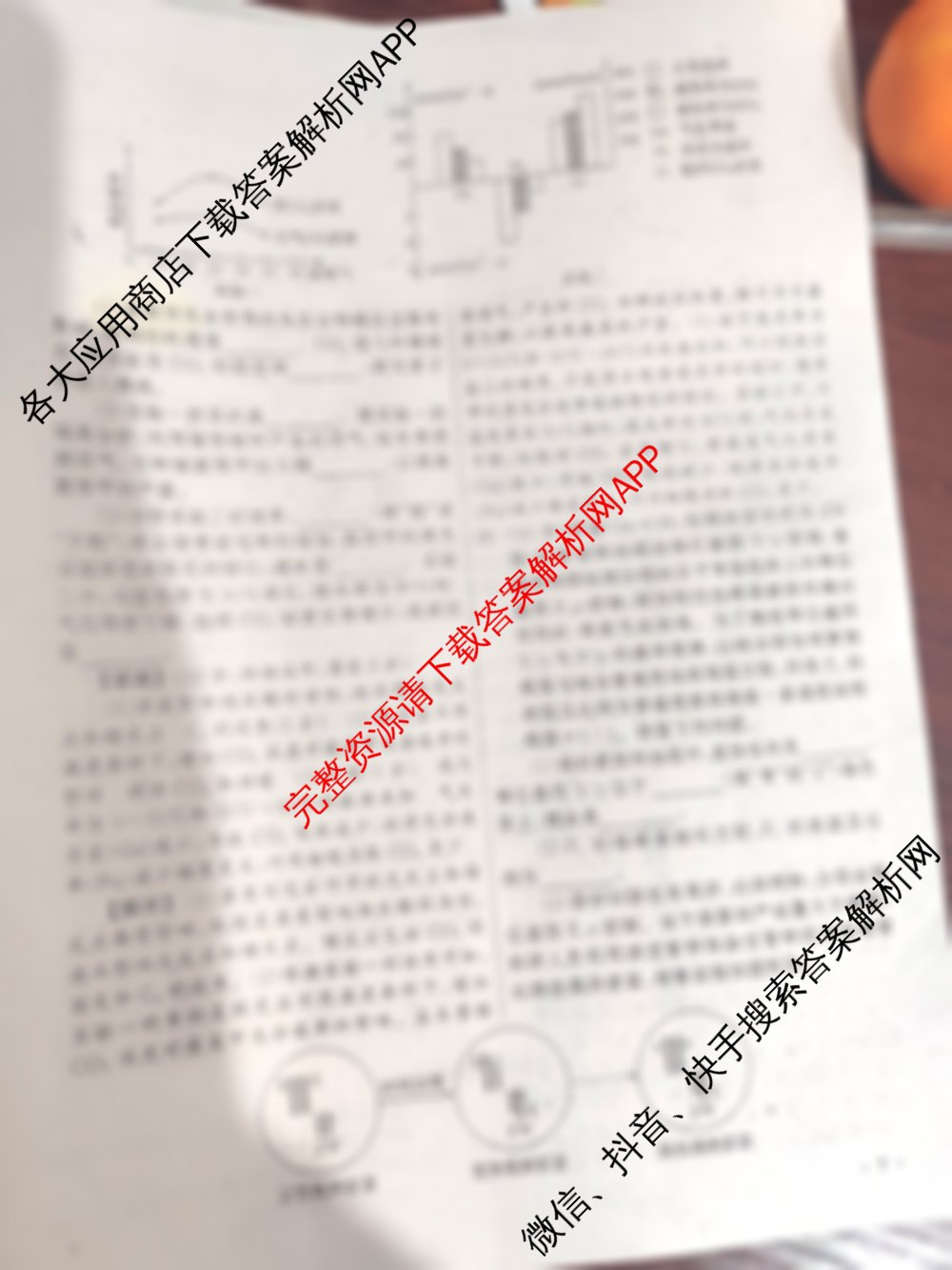 天舟高考衡中同卷2026年普通高等学校招生全国统一考试模拟调研卷(一)1试卷及答案汇总（含地理(XB专版)、政治(DB)、物理(XB专版)等）生物答案