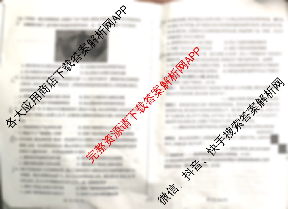 百师联盟2025-2026学年高二12月联考试卷及答案汇总（25科全）历史试题
