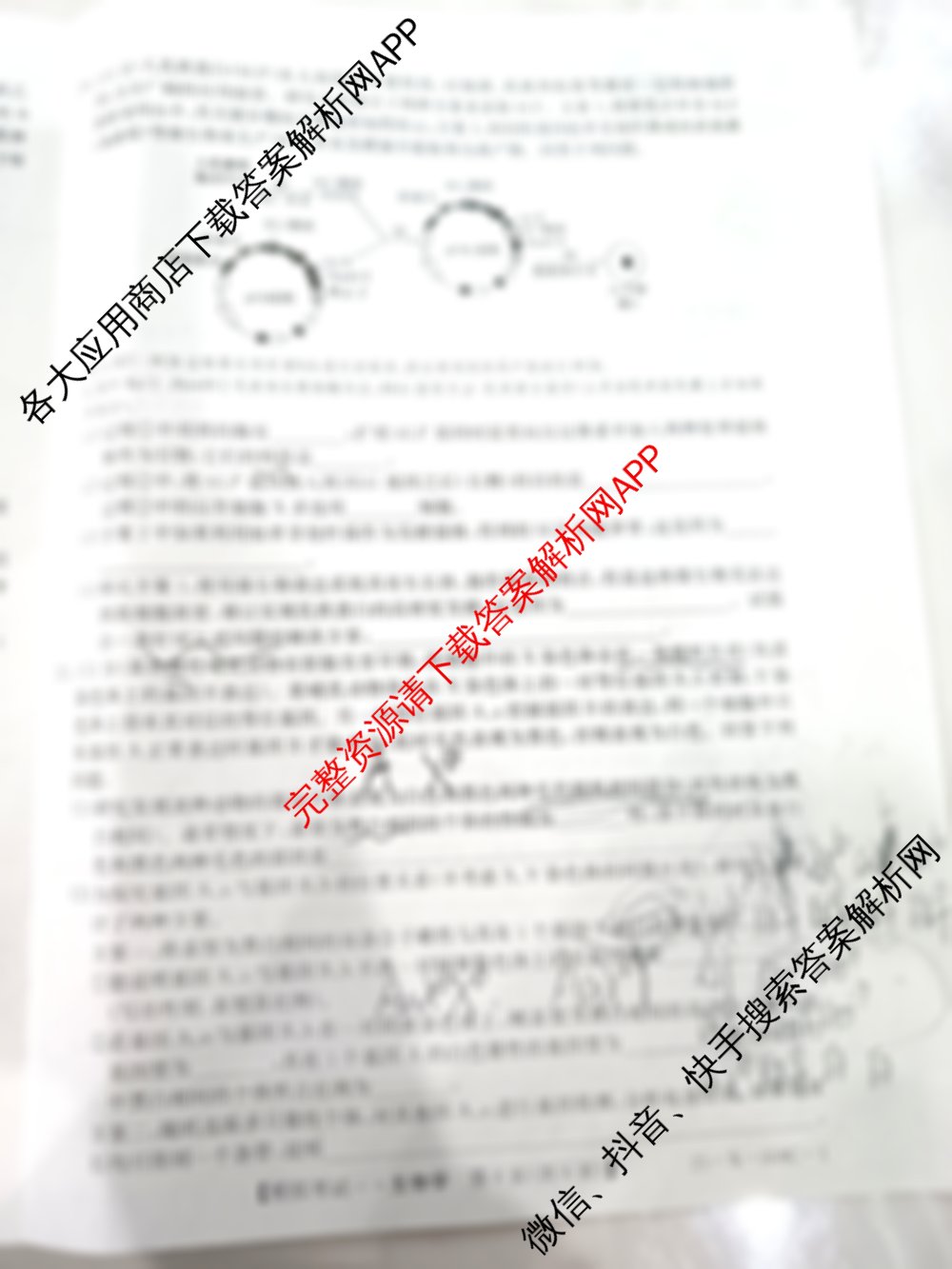 2025届普通高等学校招生模拟考试一(25-X-008C-1)各科答案及试卷: 含历史 生物 英语试卷解析化学试题