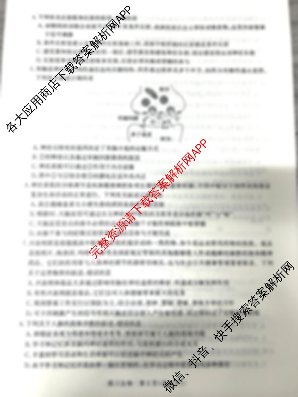 河北省2024级高二年级大数据应用调研阶段性联合测评(II)试卷及答案汇总(含生物 地理(A卷) 物理(A卷)等)生物试题 河北省2024级高二年级大数据应用调研阶段性联合测评(II)试卷及答案汇总(含生物 地理(A卷) 物理(A卷)等)生物试题