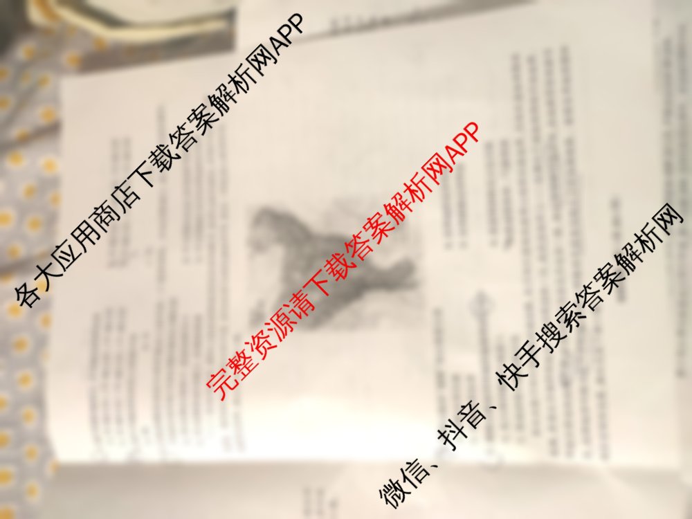 江淮十校2026届高三第一次联考(2025.8)各科答案及试卷（含化学、物理、政治等）地理试题