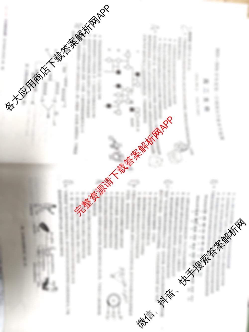 安徽省蚌埠市2025-2026学年度第一学期期末学业水监测高二试卷及答案汇总: 含政治 化学 数学试卷解析生物试题