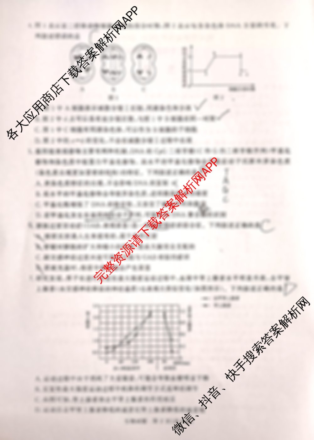 青桐鸣河南省2025年普通高中2024-2025学年高三考前适应性考试（含语文 数学 日语等）生物试题