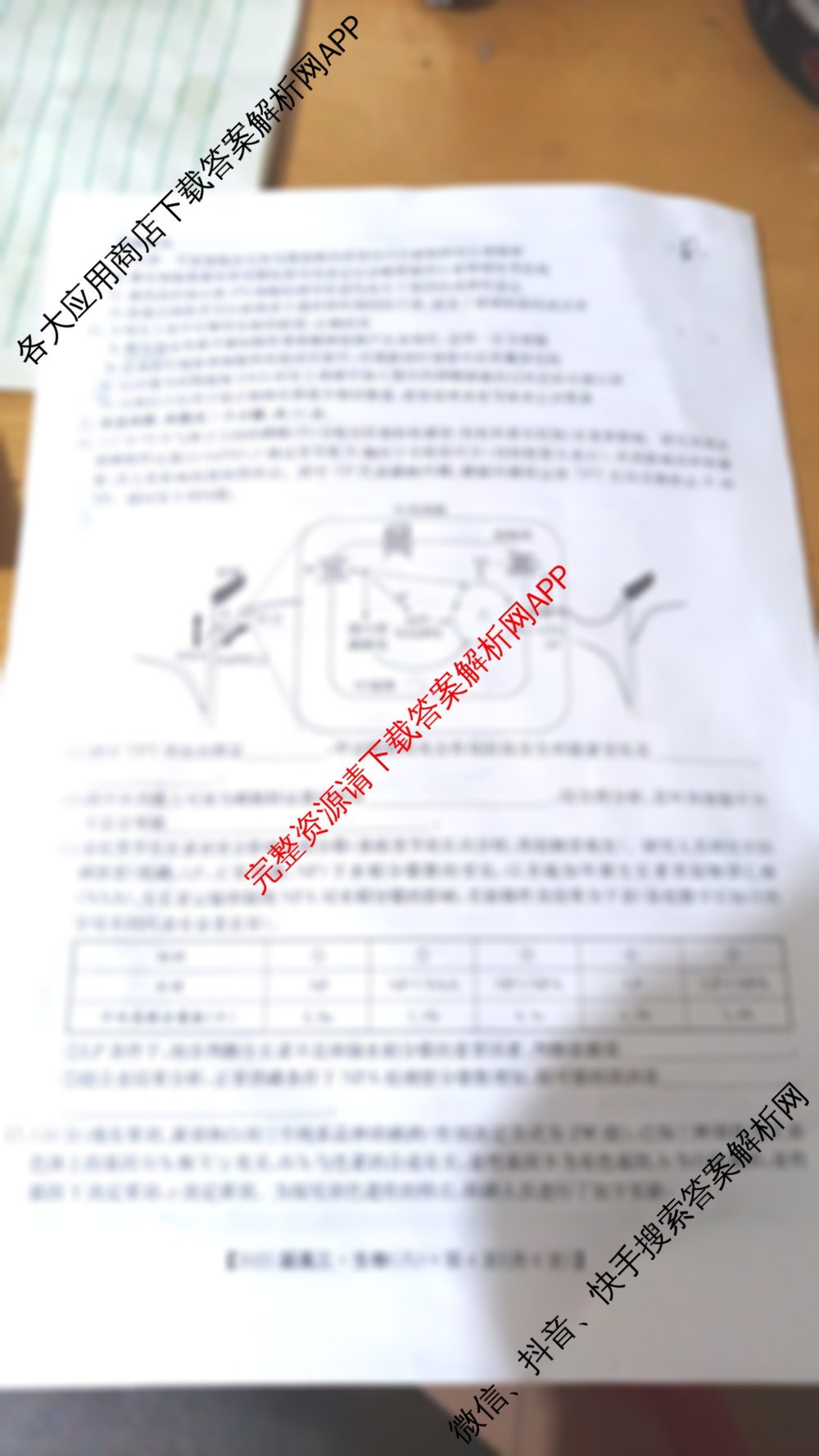 2025届北京专家卷高考仿真模拟(六)6试卷及答案汇总（9科全）生物试题