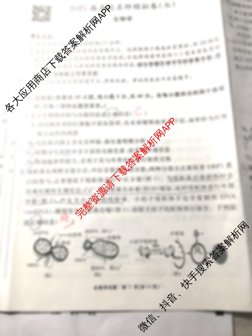 耀正文化2025届名校名师模拟卷(七)各科答案及试卷（9科全）生物试题