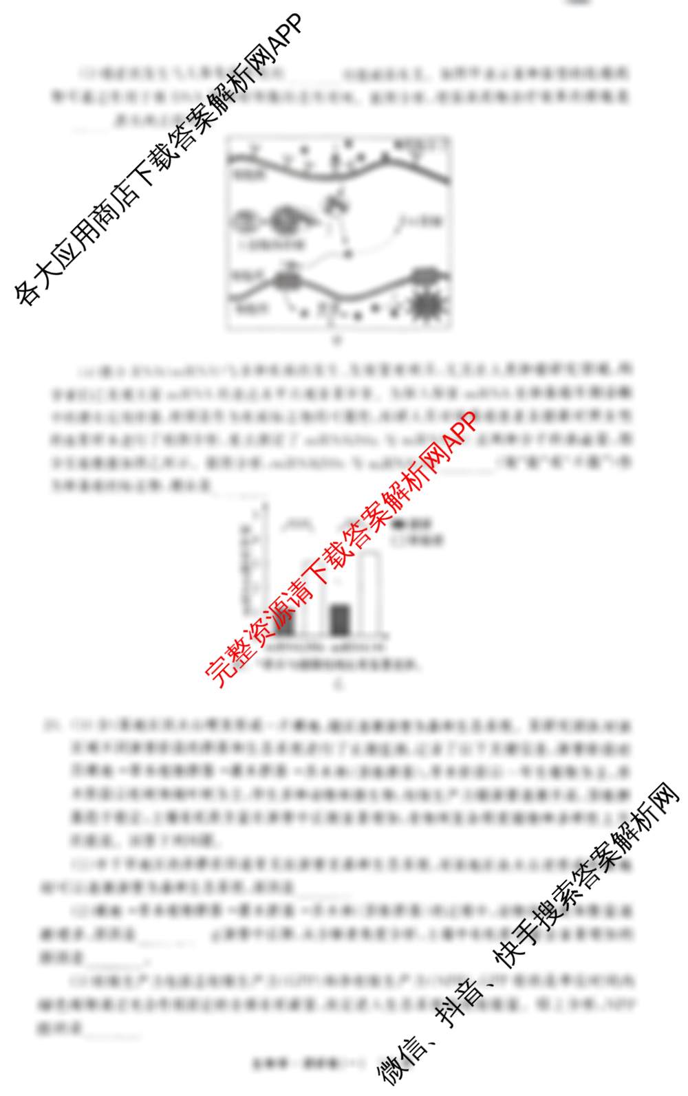 天舟高考衡中同卷2026年普通高等学校招生全国统一考试模拟调研卷(一)1试卷及答案汇总（含地理(XB专版)、政治(DB)、物理(XB专版)等）生物试题