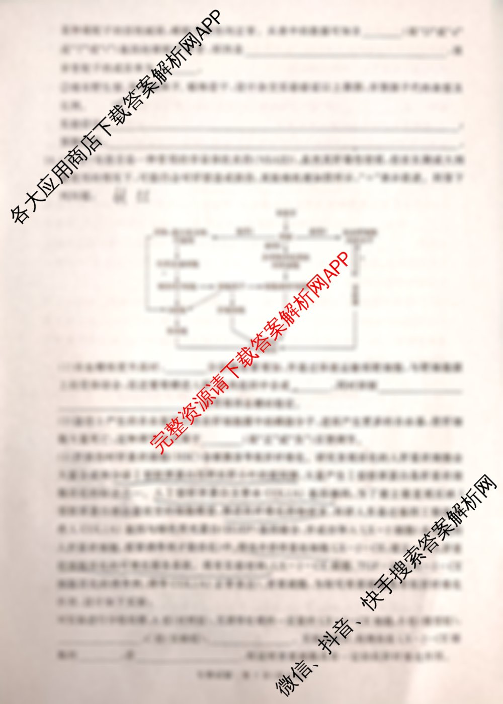 青桐鸣河南省2025年普通高中2024-2025学年高三考前适应性考试（含语文 数学 日语等）生物试题