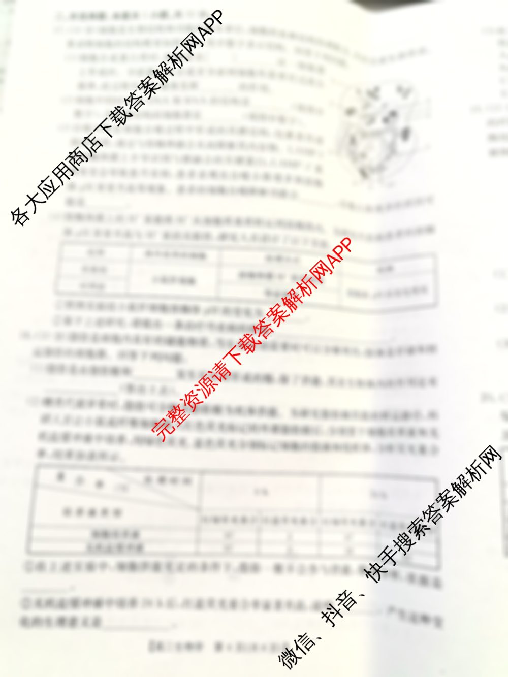 陕西省2026届高三年级考试(10.30)试卷及答案汇总: 含政治、英语、物理试卷解析生物试题