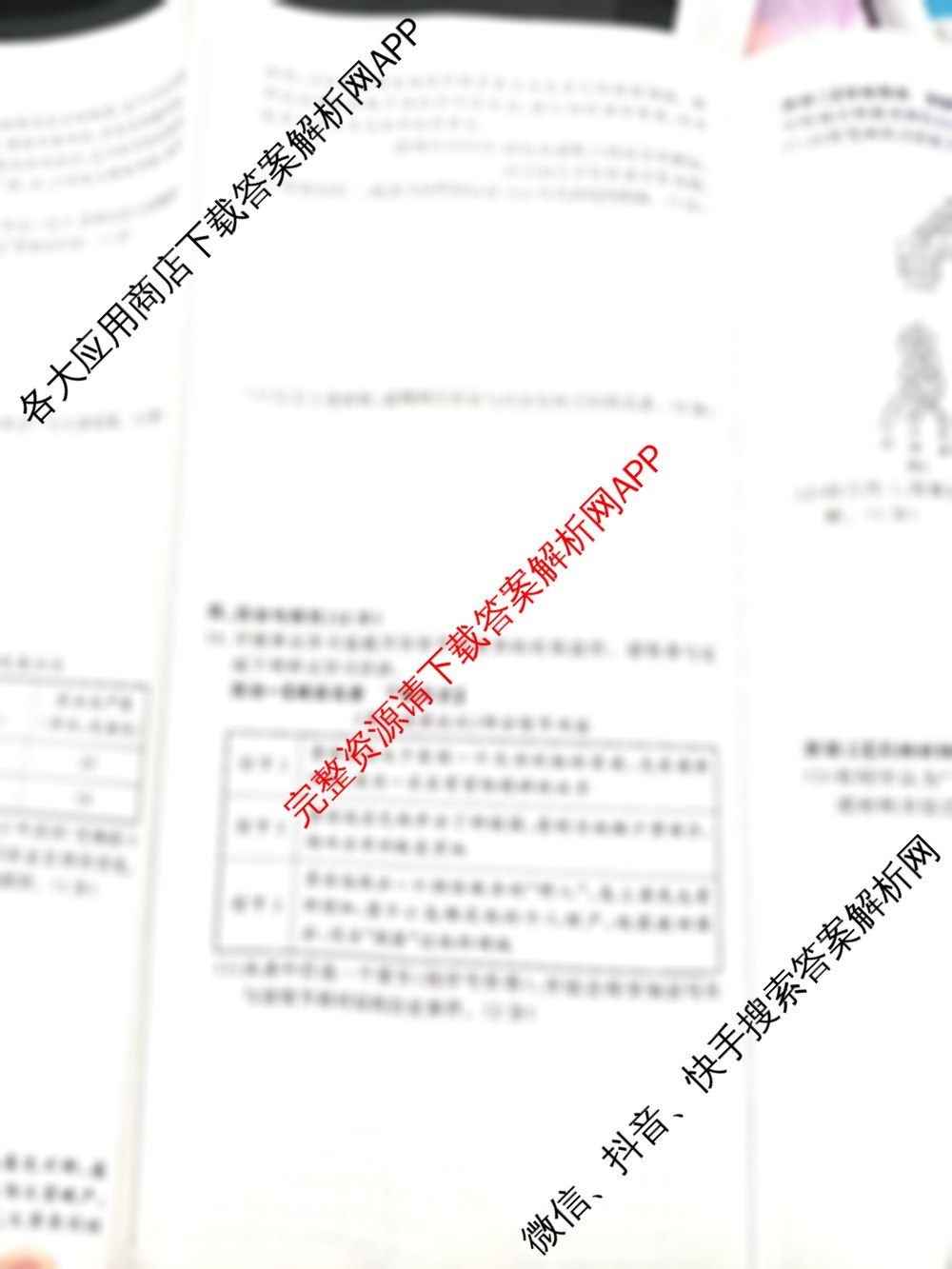 2026年安徽中考第一轮复专题(十)各科答案及试卷（含英语 语文 物理等7份）历史试题