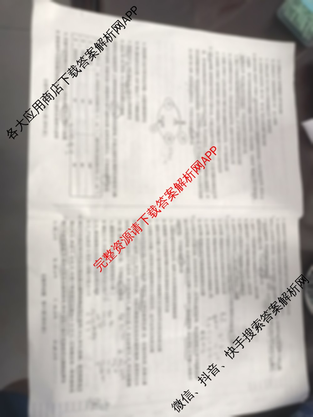 天一大联考海南省2025-2026学年高三年级学业水诊断(一): 含政治、语文、地理试卷解析生物试题