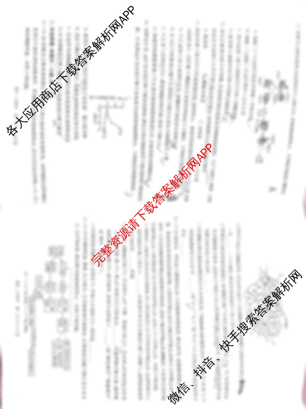 陕西省2025-2026学年高二考试(11.12)各科答案及试卷（12科全）生物试题
