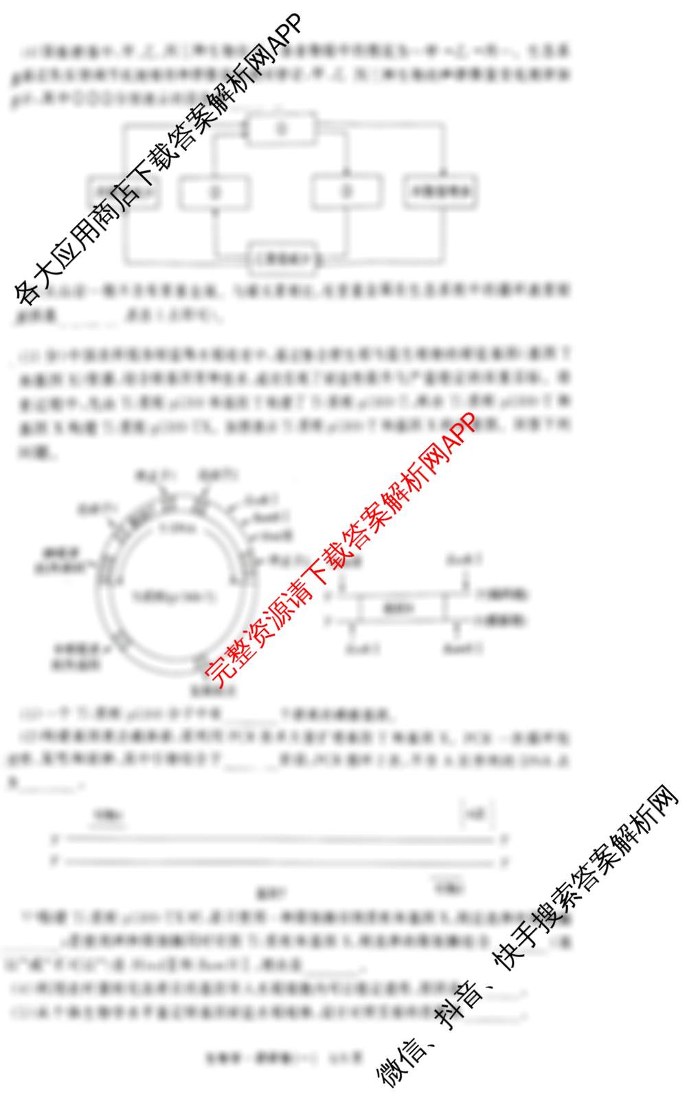 天舟高考衡中同卷2026年普通高等学校招生全国统一考试模拟调研卷(一)1试卷及答案汇总（含地理(XB专版)、政治(DB)、物理(XB专版)等）生物试题