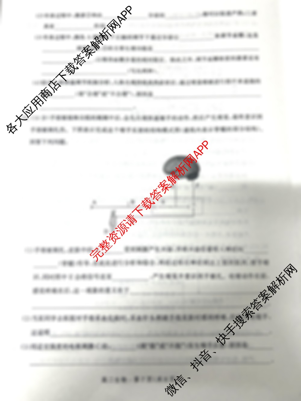 河北省2024级高二年级大数据应用调研阶段性联合测评(II)试卷及答案汇总(含生物 地理(A卷) 物理(A卷)等)生物试题 河北省2024级高二年级大数据应用调研阶段性联合测评(II)试卷及答案汇总(含生物 地理(A卷) 物理(A卷)等)生物试题