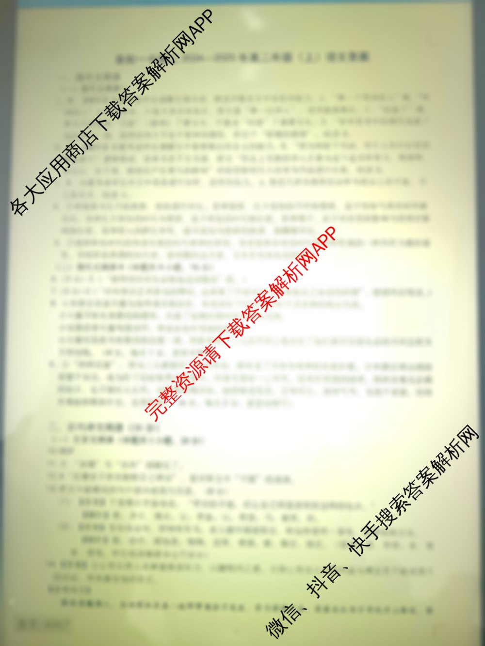 阜阳一中2024-2025学年度高二年级(上)第四次月考(已更新化学 英语 数学等9份)语文答案