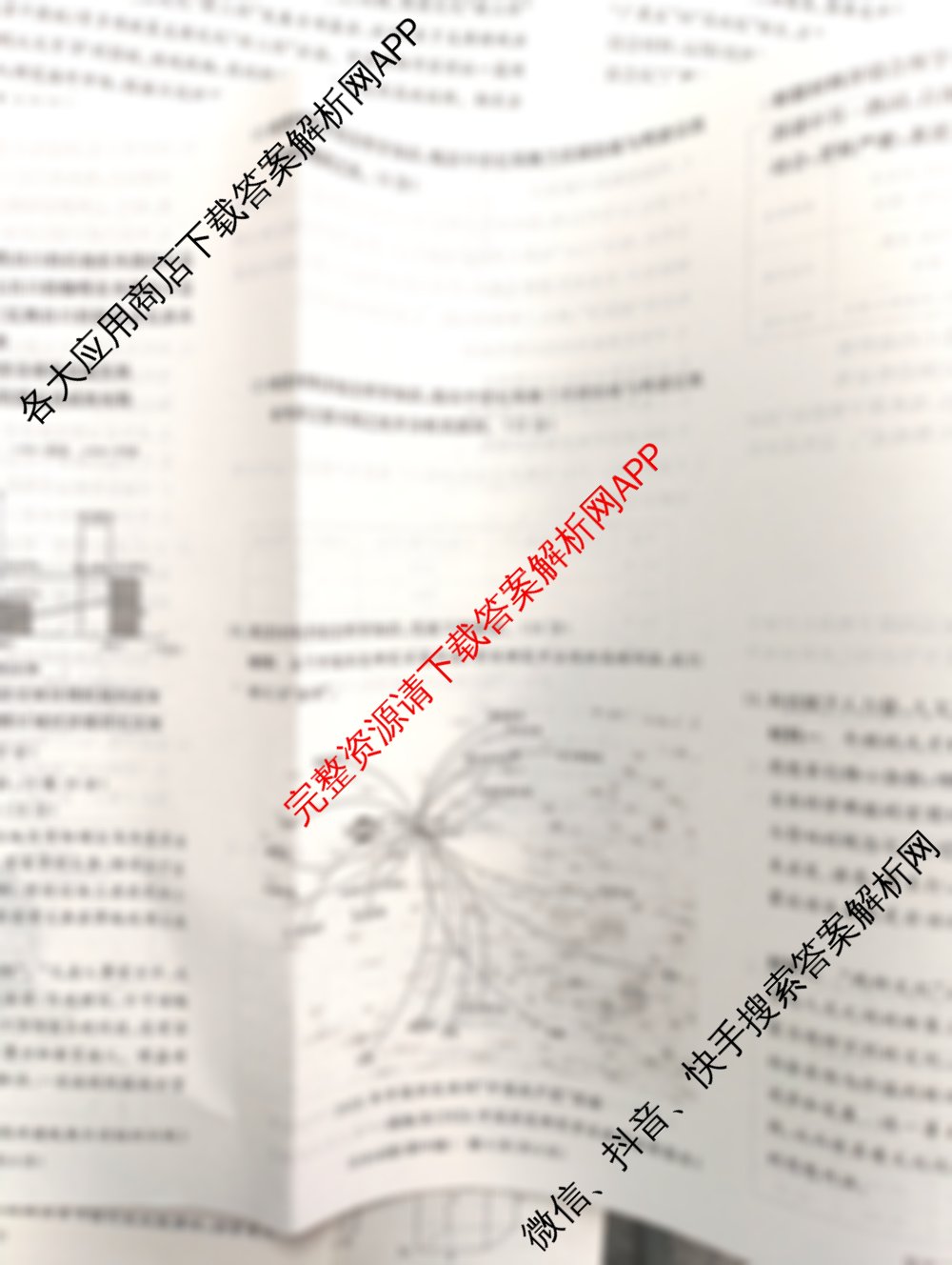 炎德英才大联考湖南师大附中2026届高三月考试卷(四)各科答案及试卷（含政治、数学、英语等）历史试题