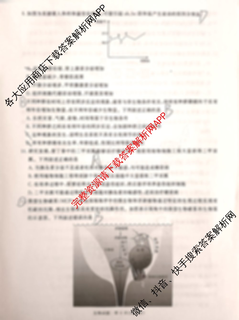 青桐鸣河南省2025年普通高中2024-2025学年高三考前适应性考试（含语文 数学 日语等）生物试题