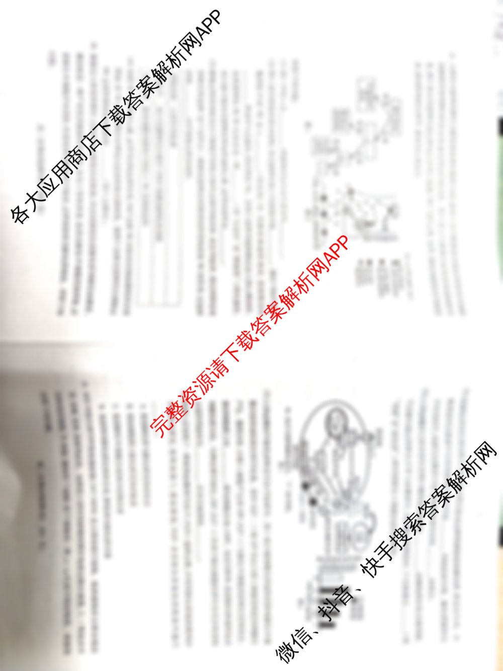 安徽省蚌埠市2025-2026学年度第一学期期末学业水监测高二试卷及答案汇总: 含政治 化学 数学试卷解析生物试题